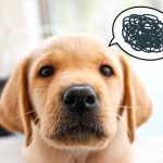 婚活女子を惑わす既婚男性が30歳過ぎると寄ってくる件